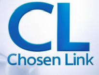 Expert Witness Dr Teik Chooi Oh